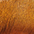 Dyed Deer Body Hair Rusty Brown
